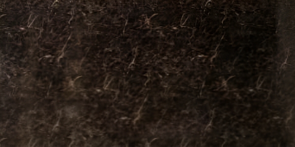 EMPERADOR DARK